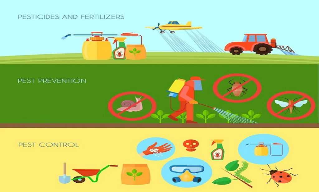 مدیریت آفات و بیماری ها 10 نکته مهم در افزایش بهره وری و میزان تولید محصولات کشاورزی
